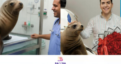 Marquitos se atendió con apoyo del Ayuntamiento, en Guadalajara