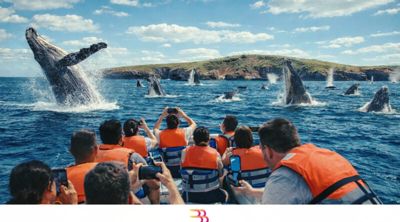 Llegaron hasta CIEN BALLENAS al mismo tiempo en la bahía