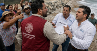Retira SEMARNAT concesión de playa a Grupo Dine