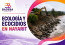 Se va titular de SEMARNAT en Nayarit tras caso de playa Cocinas